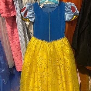 Disney Royal Blue and Yellow Costume